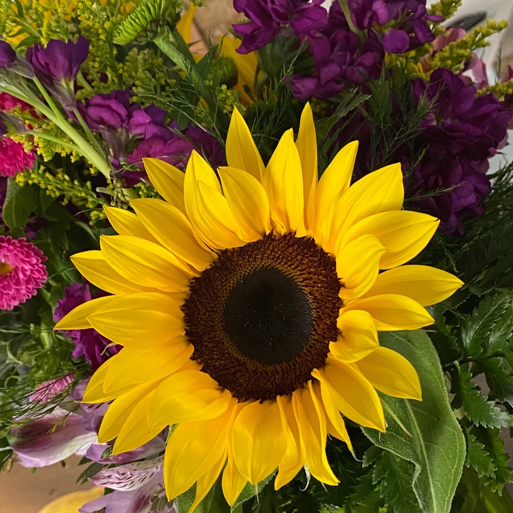 Meet your Posher, Tammy